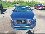 2015 Hyundai Sonata Sport Blue vin: 5NPE34AF9FH210177