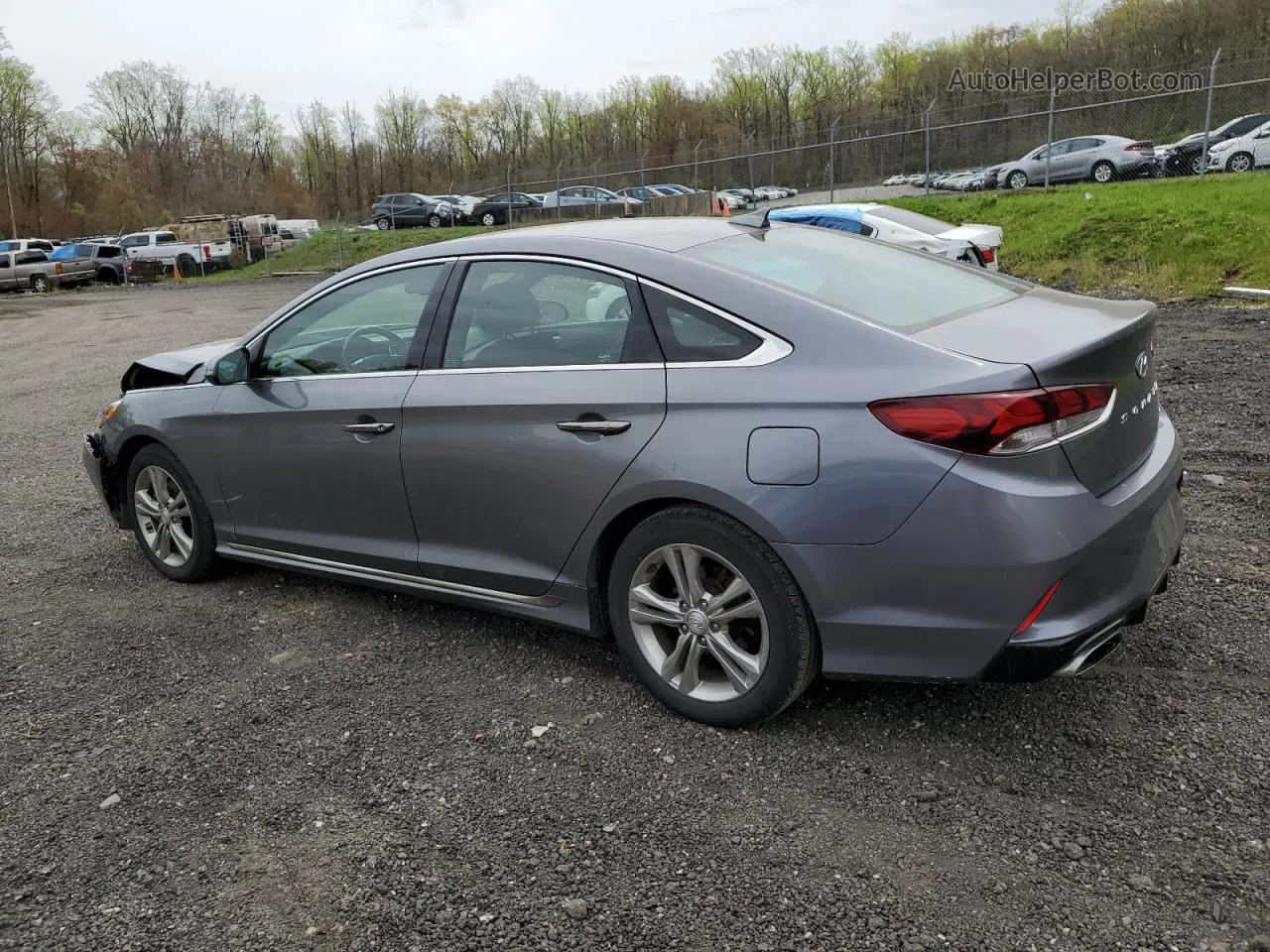 2018 Hyundai Sonata Sport Gray vin: 5NPE34AF9JH635424