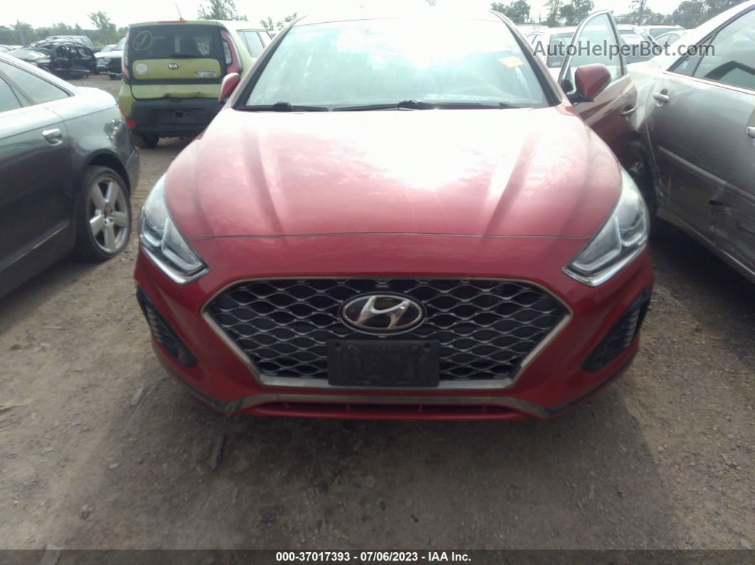 2018 Hyundai Sonata Sport Red vin: 5NPE34AF9JH693033