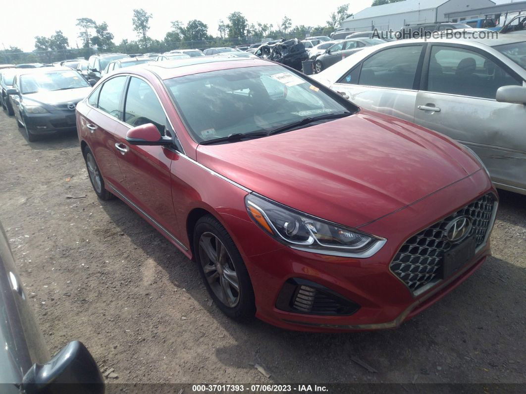 2018 Hyundai Sonata Sport Red vin: 5NPE34AF9JH693033