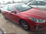 2018 Hyundai Sonata Sport Red vin: 5NPE34AF9JH693033