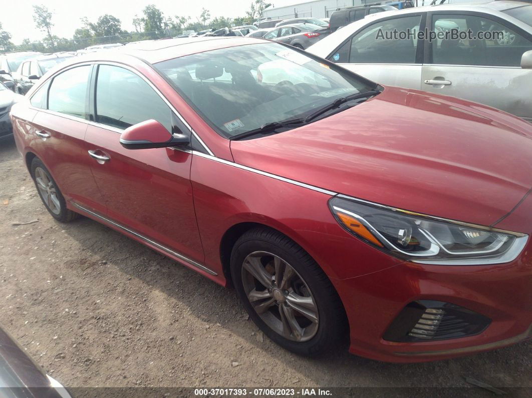 2018 Hyundai Sonata Sport Red vin: 5NPE34AF9JH693033