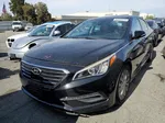 2015 Hyundai Sonata Sport Black vin: 5NPE34AFXFH120911