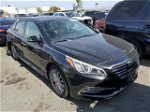 2015 Hyundai Sonata Sport Black vin: 5NPE34AFXFH120911