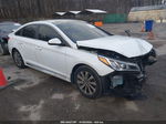 2017 Hyundai Sonata Sport White vin: 5NPE34AFXHH552238