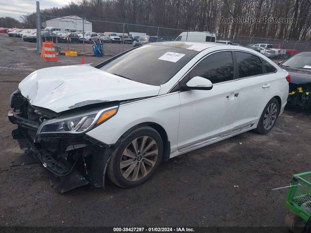 2017 Hyundai Sonata Sport White vin: 5NPE34AFXHH552238