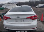 2017 Hyundai Sonata Sport White vin: 5NPE34AFXHH552238