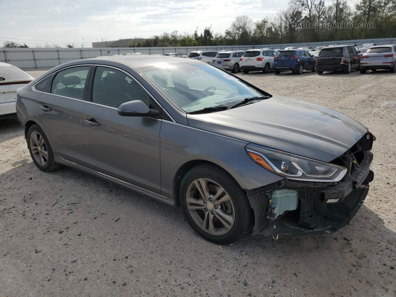 2018 Hyundai Sonata Sport Gray vin: 5NPE34AFXJH705867