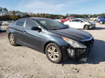 2013 Hyundai Sonata Gls Blue vin: 5NPEB4AC3DH697530