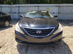 2013 Hyundai Sonata Gls Black vin: 5NPEB4AC5DH648989