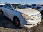 2013 Hyundai Sonata Gls Белый vin: 5NPEB4AC9DH747296