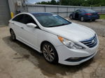 2014 Hyundai Sonata Se White vin: 5NPEC4AB6EH815592