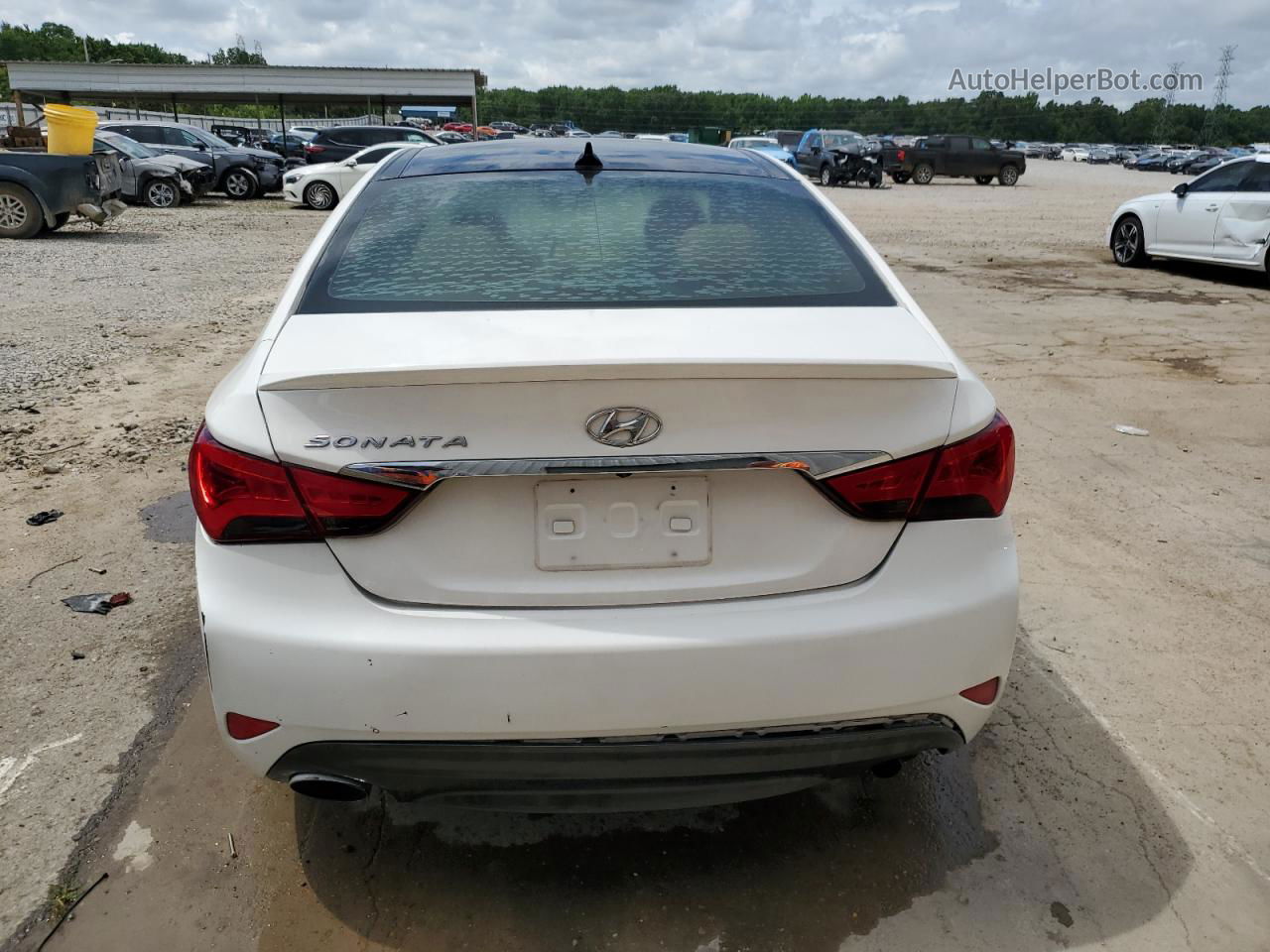 2014 Hyundai Sonata Se White vin: 5NPEC4AB6EH815592