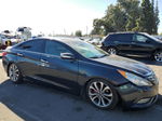 2013 Hyundai Sonata Se Blue vin: 5NPEC4AB9DH674905