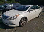 2013 Hyundai Sonata Se Белый vin: 5NPEC4AC1DH628333