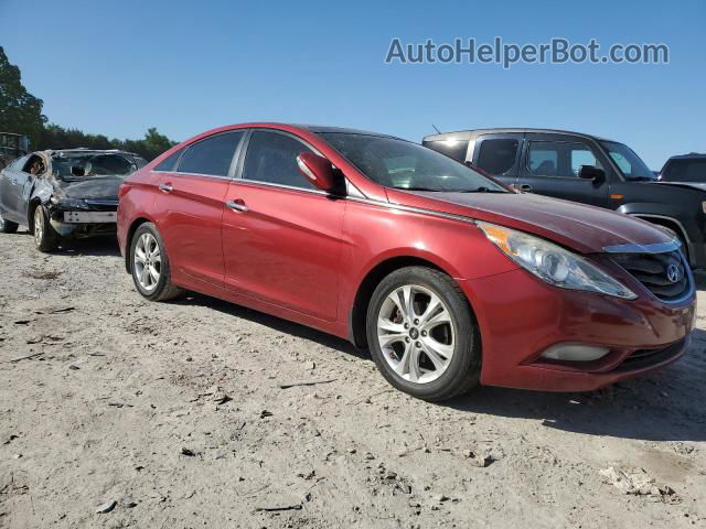 2013 Hyundai Sonata Se Burgundy vin: 5NPEC4ACXDH574532