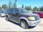 2002 Toyota Sequoia Sr5 V8 Black vin: 5TDBT44A12S066549