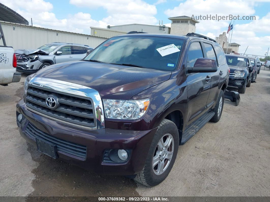 2016 Toyota Sequoia Sr5 Фиолетовый vin: 5TDBY5G13GS130245