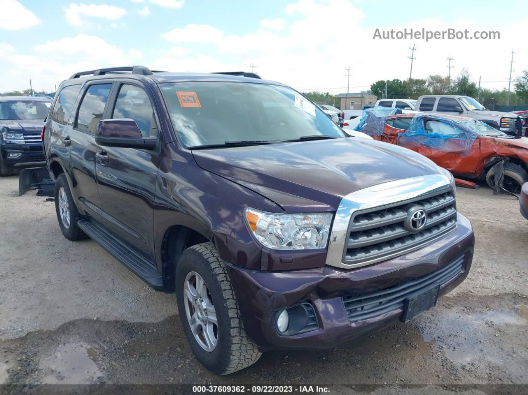 2016 Toyota Sequoia Sr5 Фиолетовый vin: 5TDBY5G13GS130245