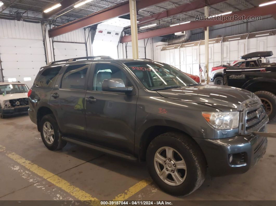 2016 Toyota Sequoia Sr5 5.7l V8 Серый vin: 5TDBY5G14GS135230