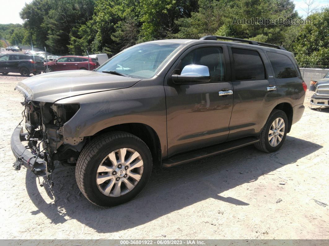 2016 Toyota Sequoia Platinum Brown vin: 5TDDW5G11GS144336