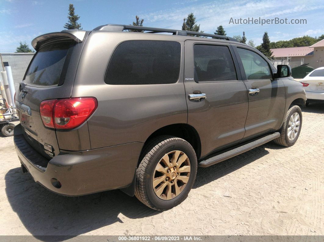 2016 Toyota Sequoia Platinum Brown vin: 5TDDW5G11GS144336