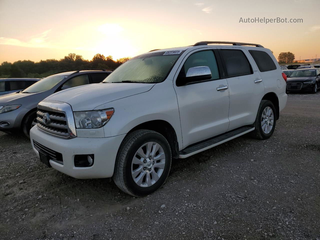 2016 Toyota Sequoia Platinum White vin: 5TDDW5G15GS136773