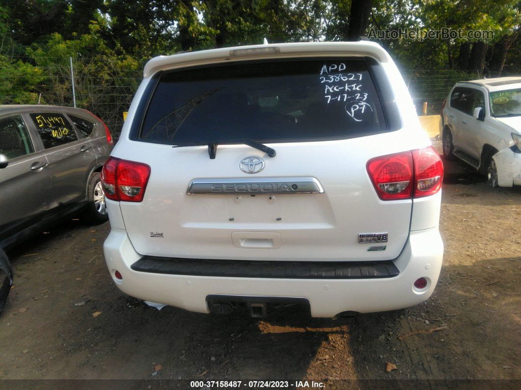 2016 Toyota Sequoia Platinum White vin: 5TDDW5G18GS146021