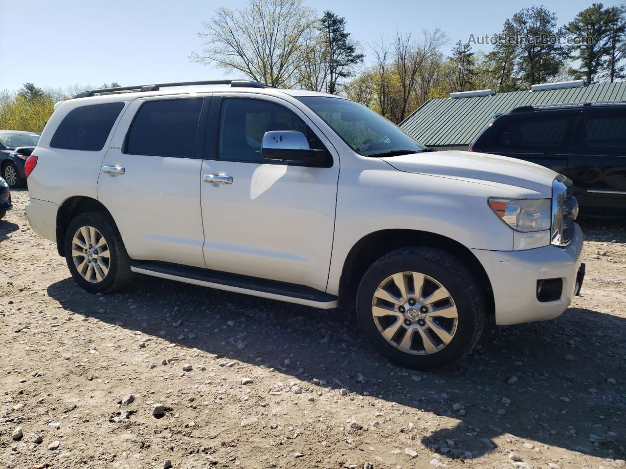 2016 Toyota Sequoia Platinum White vin: 5TDDY5G13GS139679