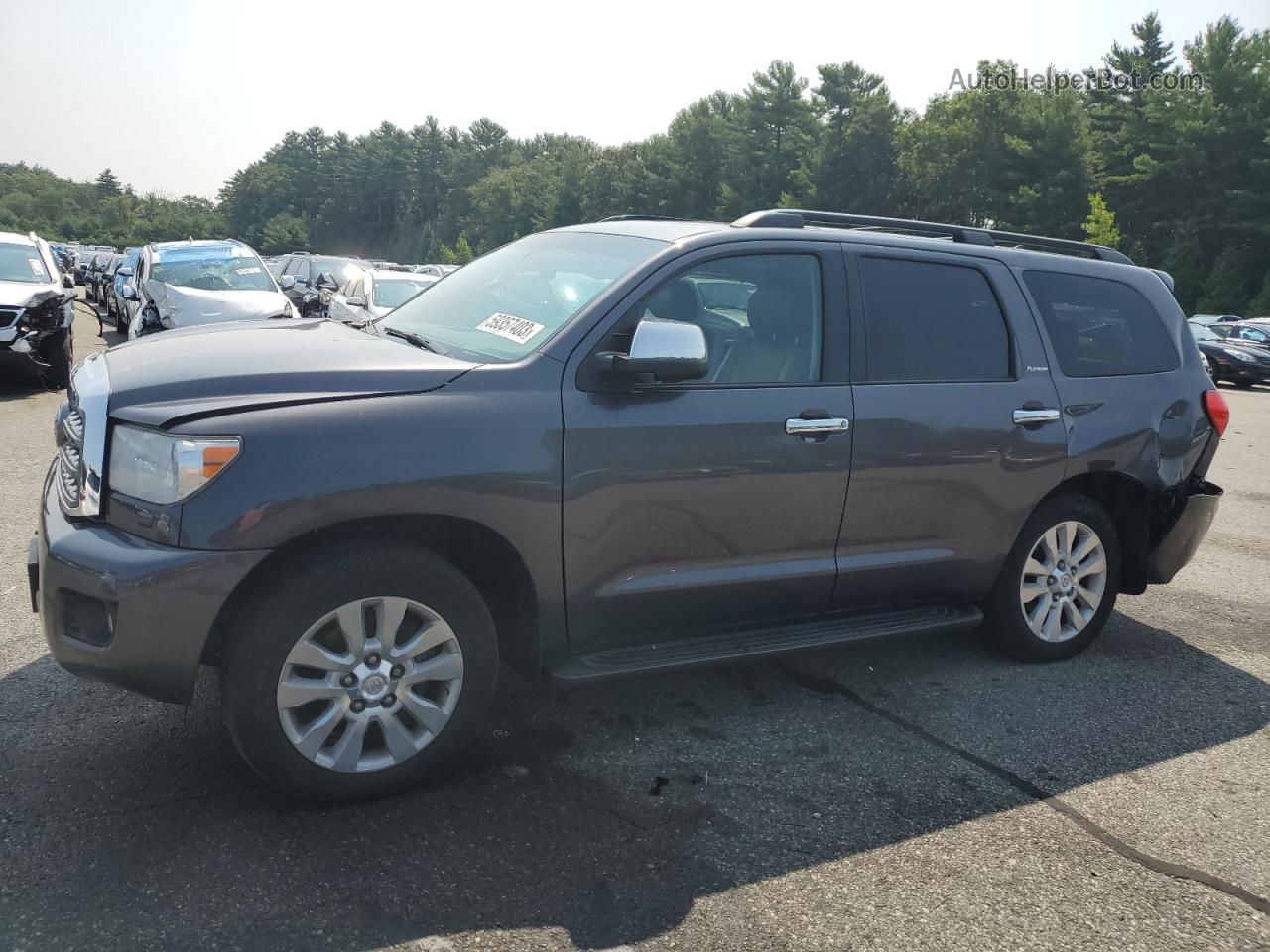 2017 Toyota Sequoia Platinum Gray vin: 5TDDY5G16HS148359