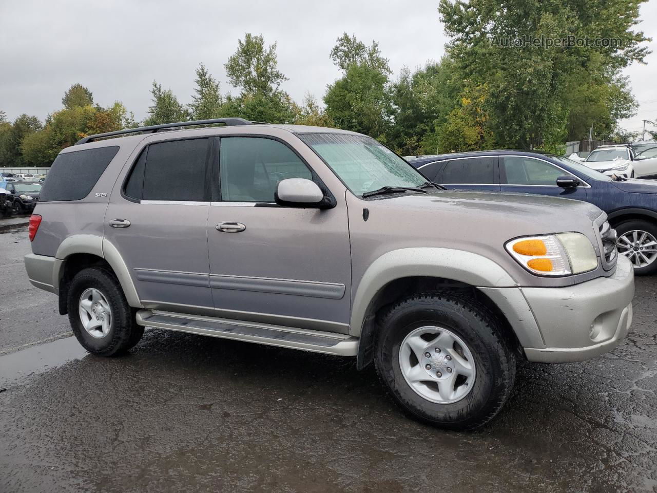 2002 Toyota Sequoia Sr5 Silver vin: 5TDZT34AX2S107432