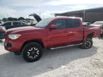 2019 Toyota Tacoma Double Cab Red vin: 5TFAX5GN1KX160820