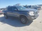 2019 Toyota Tacoma Double Cab Gray vin: 5TFAZ5CN3KX080628