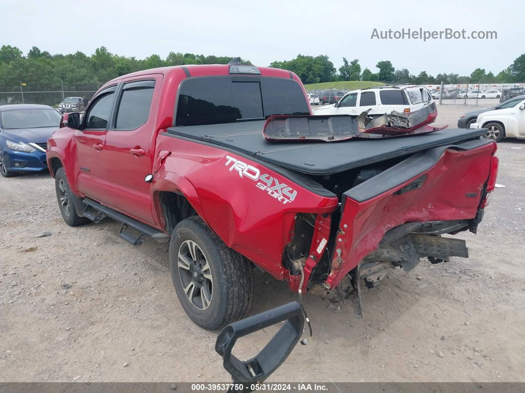 2019 Toyota Tacoma Trd Sport Красный vin: 5TFCZ5AN1KX185504