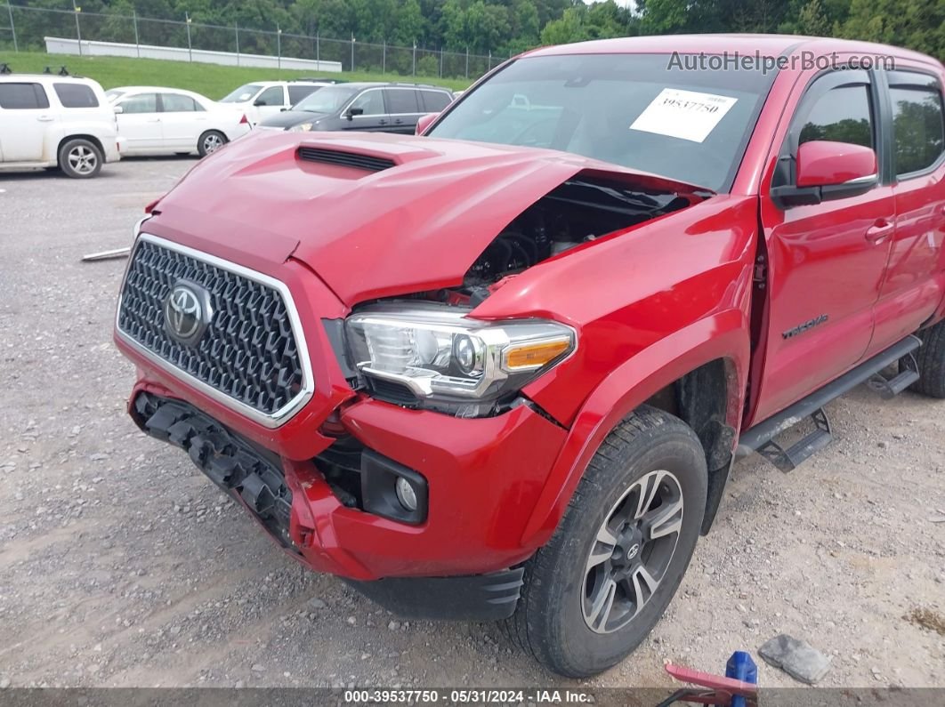 2019 Toyota Tacoma Trd Sport Red vin: 5TFCZ5AN1KX185504