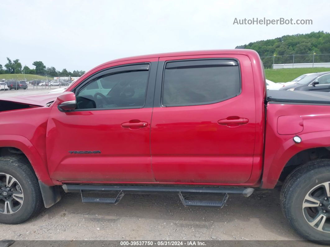 2019 Toyota Tacoma Trd Sport Красный vin: 5TFCZ5AN1KX185504