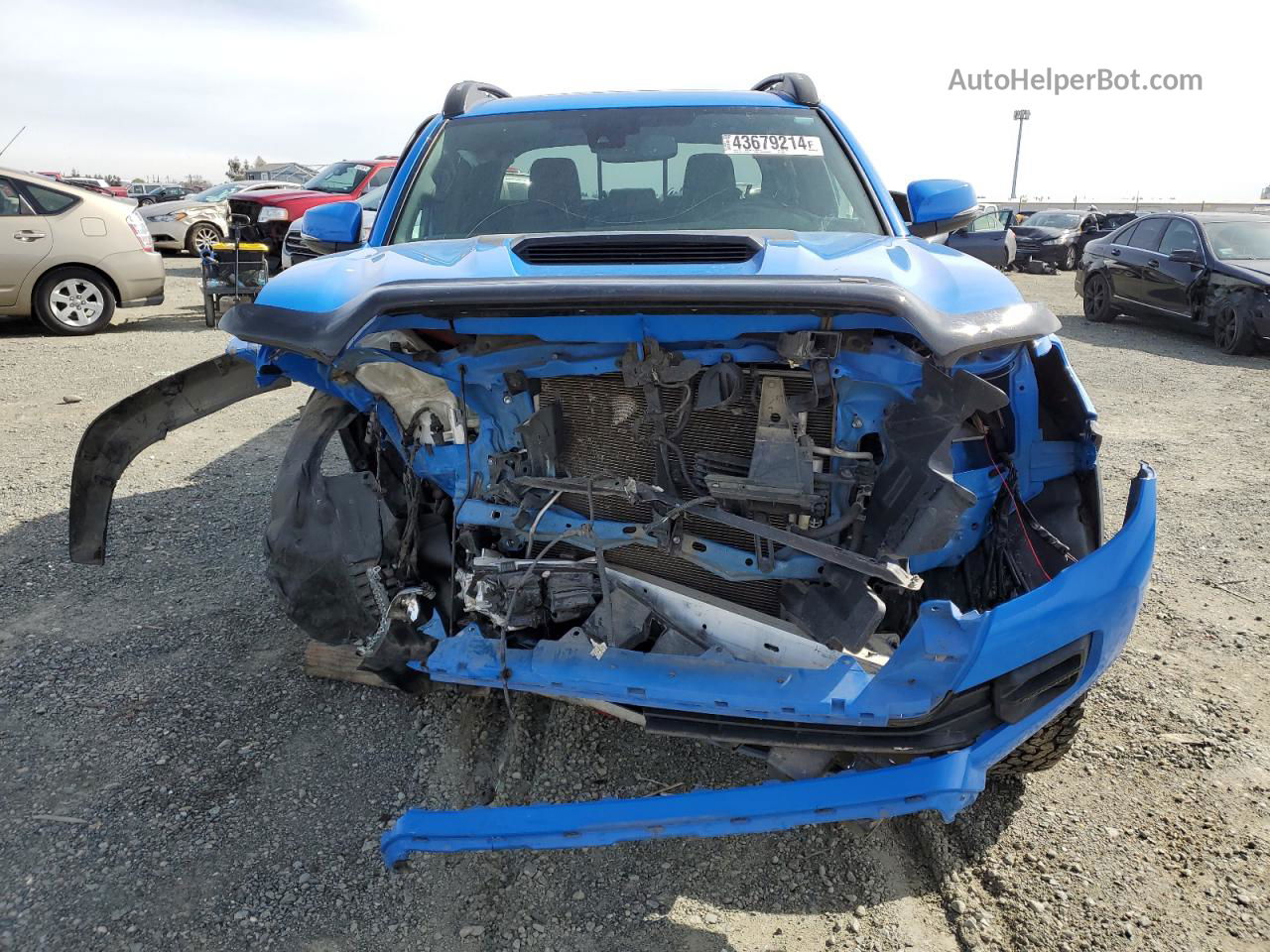 2019 Toyota Tacoma Double Cab Blue vin: 5TFCZ5AN2KX185897