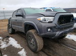 2019 Toyota Tacoma Double Cab Серый vin: 5TFCZ5AN4KX171242