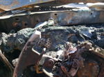 2021 Toyota Tacoma Double Cab Burn vin: 5TFCZ5AN4MX245813