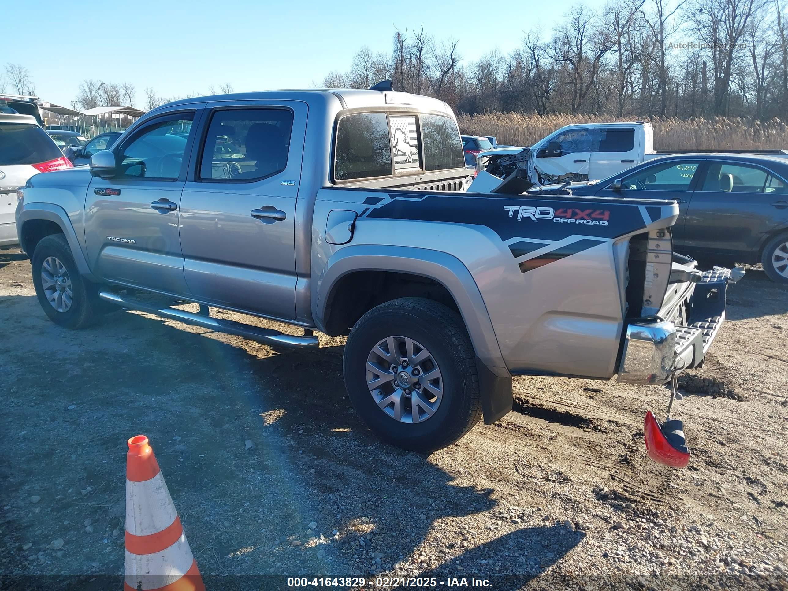 2017 Toyota Tacoma Sr5 V6 Silver vin: 5TFCZ5AN9HX062154