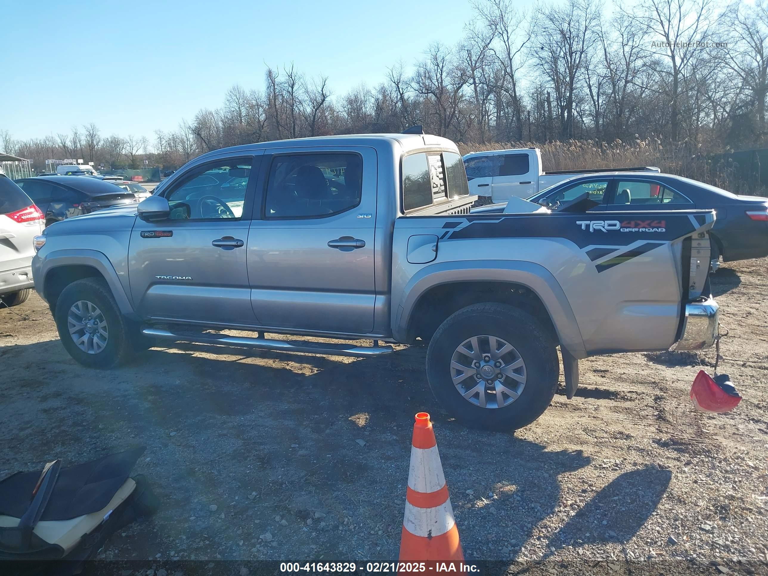 2017 Toyota Tacoma Sr5 V6 Silver vin: 5TFCZ5AN9HX062154