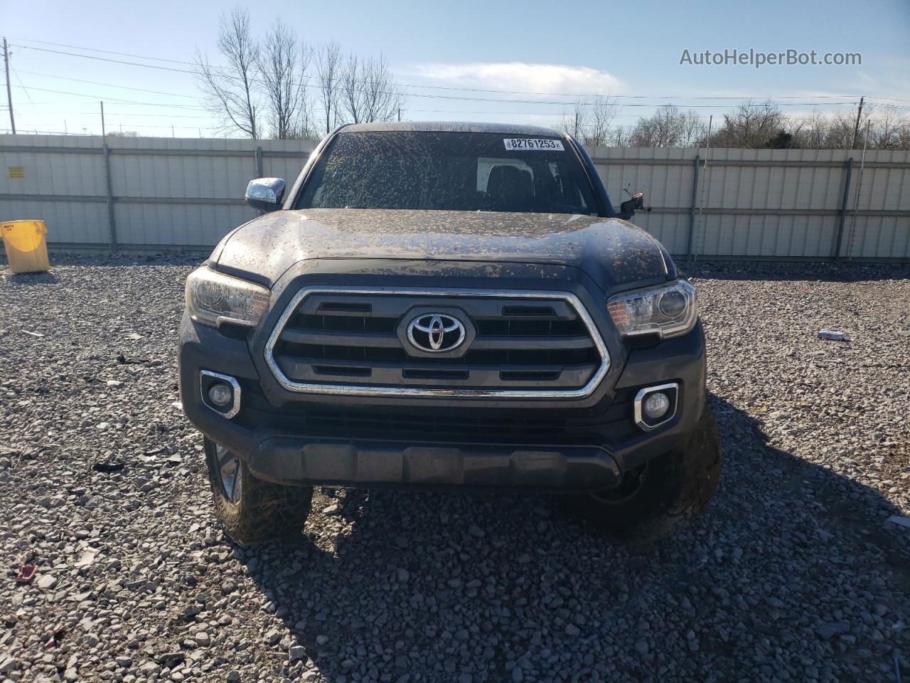 2017 Toyota Tacoma Double Cab Серый vin: 5TFGZ5ANXHX063573