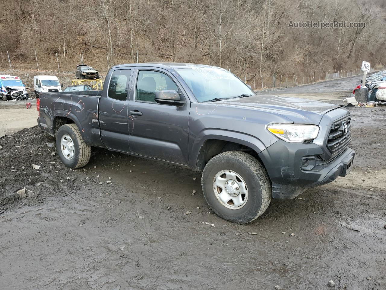 2017 Toyota Tacoma Access Cab Gray vin: 5TFSX5EN3HX053154