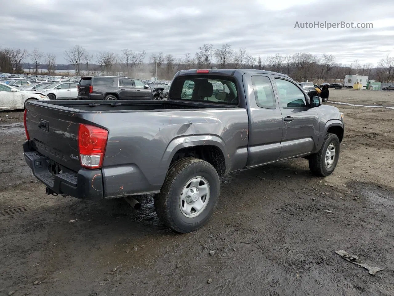 2017 Toyota Tacoma Access Cab Gray vin: 5TFSX5EN3HX053154