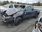 2019 Toyota Tacoma Access Cab Gray vin: 5TFSX5EN8KX064660