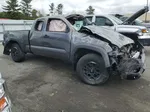 2019 Toyota Tacoma Access Cab Gray vin: 5TFSX5EN8KX064660