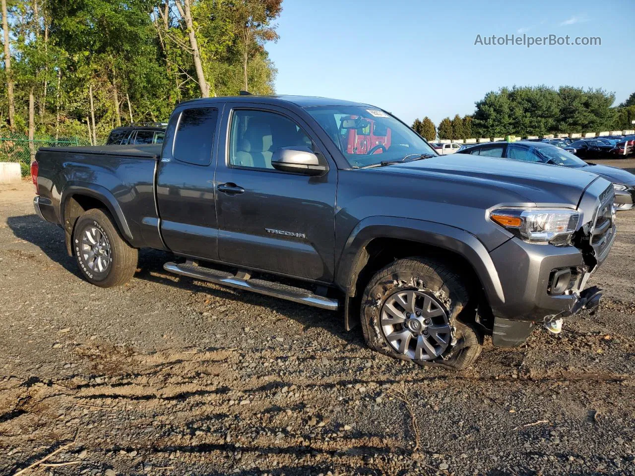 2017 Toyota Tacoma Access Cab Gray vin: 5TFSZ5AN0HX102696