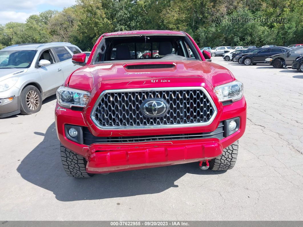 2019 Toyota Tacoma Trd Sport Красный vin: 5TFSZ5AN3KX181059