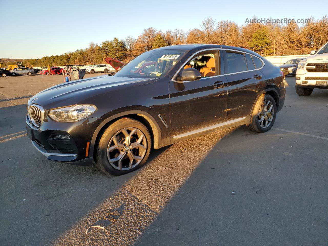 2021 Bmw X4 Xdrive30i Black vin: 5UX2V1C05M9E37037