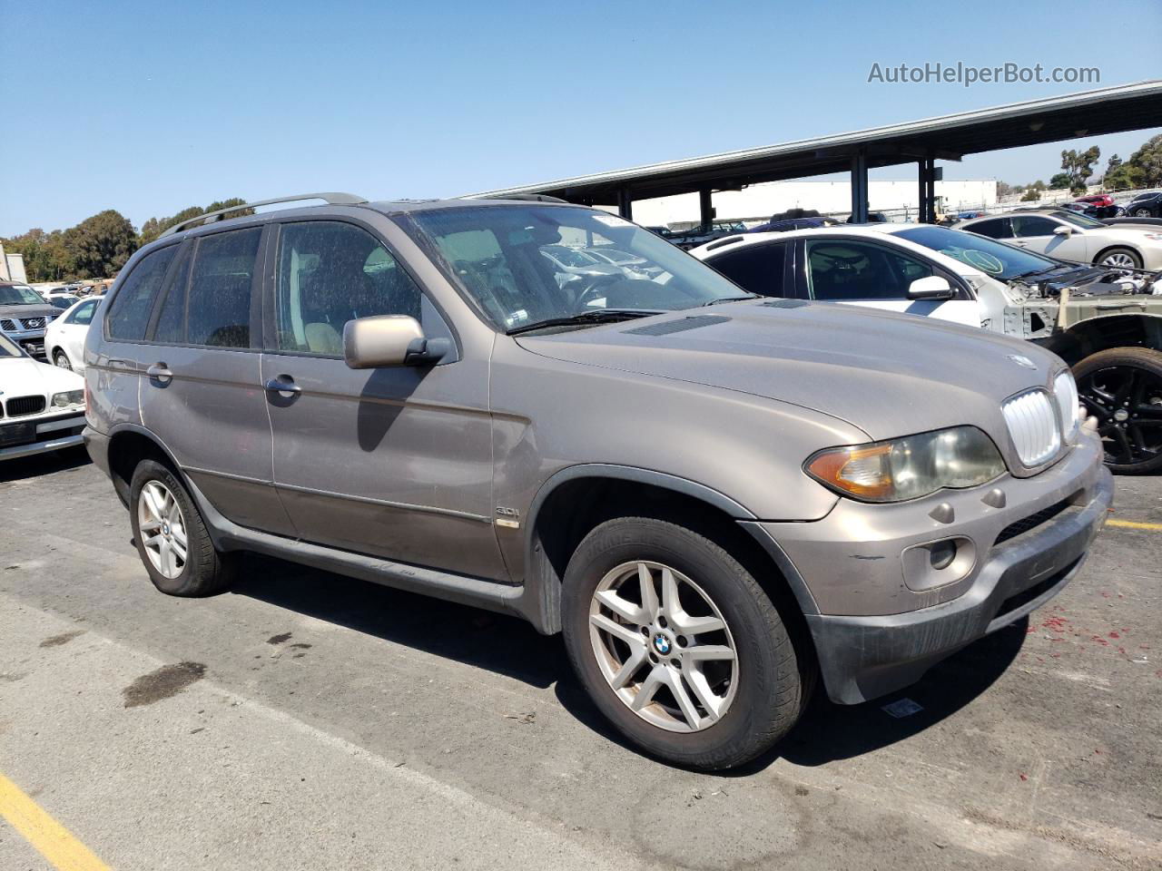 2004 Bmw X5 3.0i Gold vin: 5UXFA13504LU34913